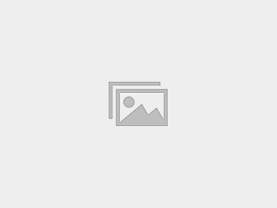 Free Trial